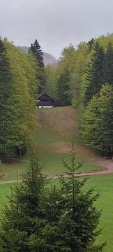 16 - 1000021773 - Lidija